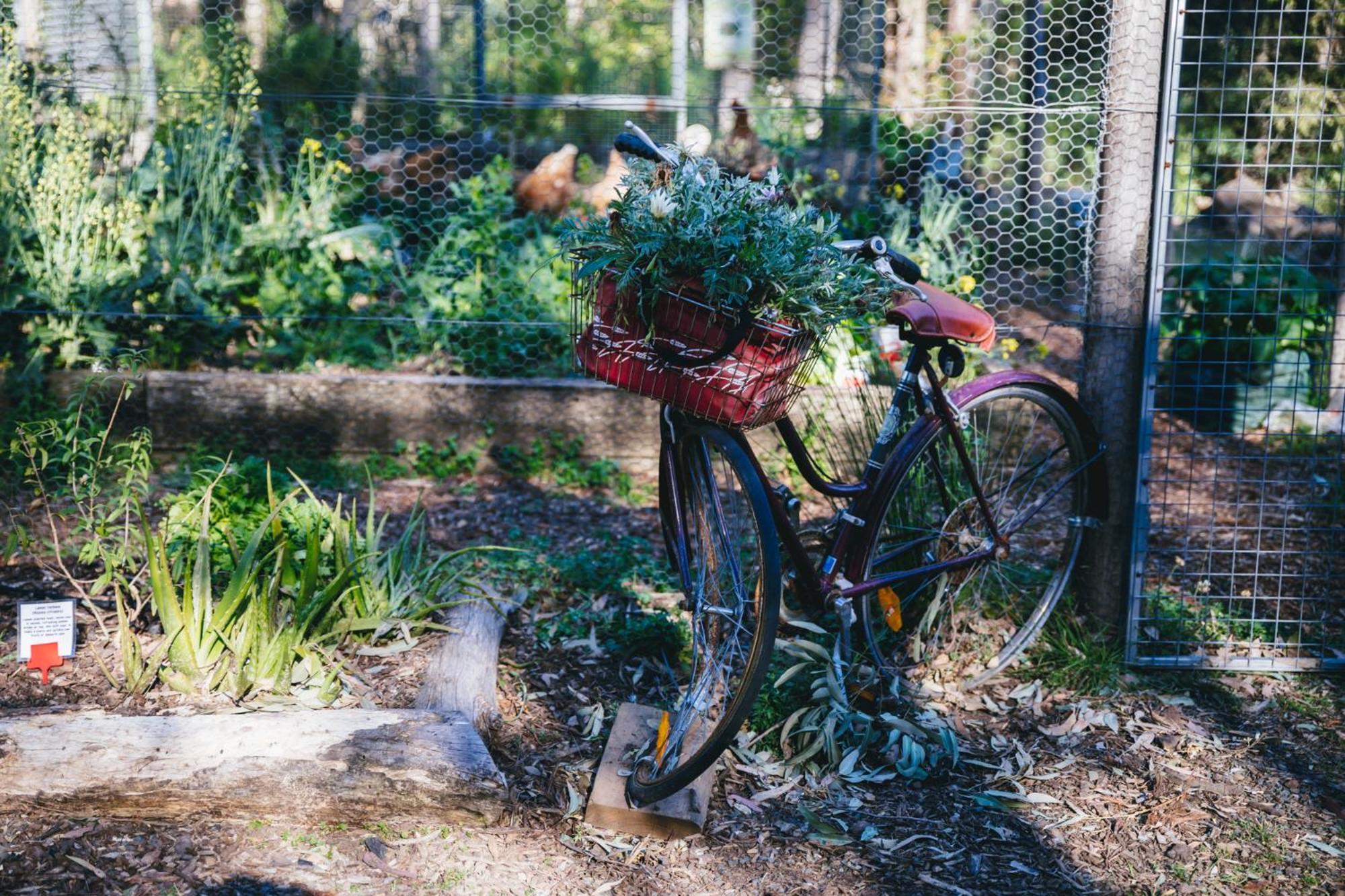 孟芭朋特生态小屋 布拉德拉 外观 照片