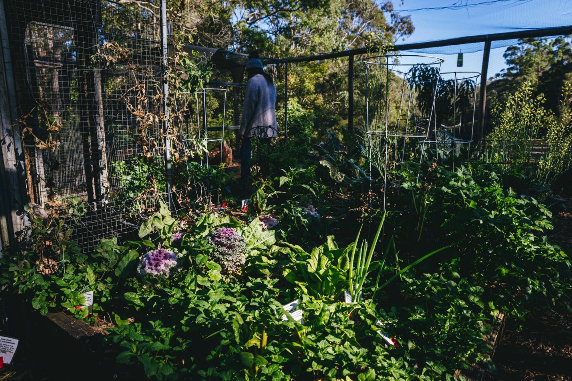 孟芭朋特生态小屋 布拉德拉 外观 照片